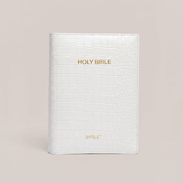 The Everyday Bible Cover